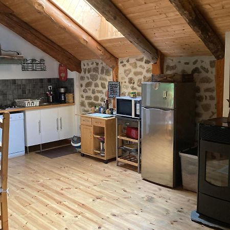 La Bonbonniere Daire Le Chambon-sur-Lignon Dış mekan fotoğraf