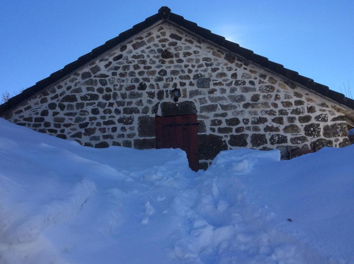 La Bonbonniere Daire Le Chambon-sur-Lignon Dış mekan fotoğraf